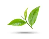 St. John's Wort Extract